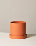 Terracotta-colored planter on a light gray background