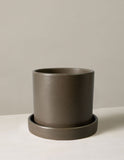 Dark brown ceramic planter with matching saucer on a light beige background