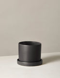 Black ceramic planter on a light beige surface with a neutral background