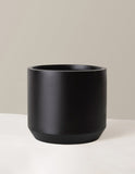 Large Mexia Planter