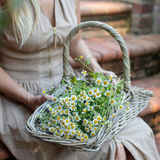 Rattan Garden Trug Basket