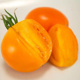Orange tomato with a halved section on a white background