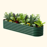 Green metal raised garden bed with plants on a white background
