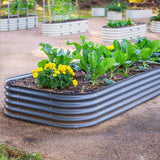 Vegetable garden with raised beds and plants in an outdoor setting