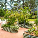 Metal garden arch with plants and flowers in a garden setting