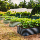 Garden with raised metal beds containing plants, surrounded by trees and a greenhouse.