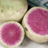 Close-up of watermelon radishes with pink interior and green exterior.