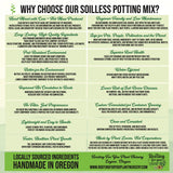 Amaryllis Premium Potting Mix